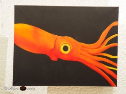 SHAPES OF WATER am 14. Mai 2024